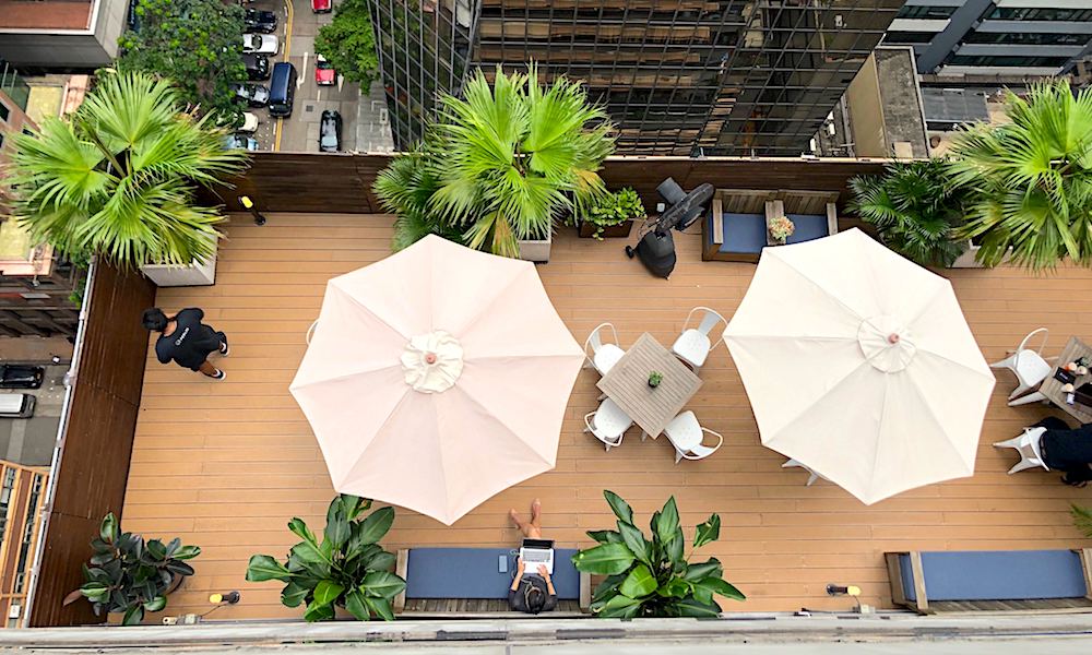 Palm Tree Lined Rooftop image